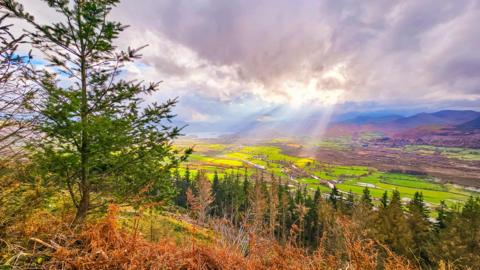 Hues of purple, green and orange were seen in vegetation in Dodd Wood near Keswick. The view looks down from a forest into a valley towards Keswick.
