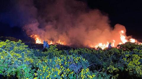 A hedgerow of gorse lines the bottom half of the scene, with flames blazing across the horizon in the distance. Large clouds of smoke are going upwards into a dark sky and there are a number of firefighters tackling the flames.