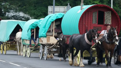 A line of wagons with light blue cloth roofs are travelling down a grey tarmac road. The wagons are being pulled by horses of various colours. There are tall trees behind them.