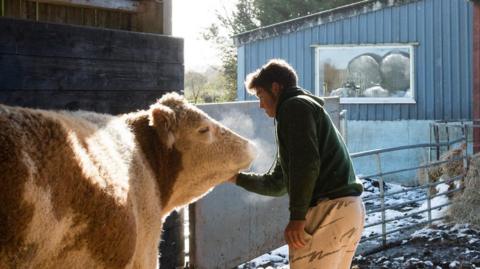Cow to the left in a open barn with a teenage boy standing to the right stroking its face. There is snow on the ground.