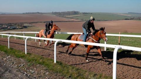 Horses from trainer Jamie Snowden's yard are seen on the gallops near his stables in Lambourn, Berkshire, on January 27, 2019.