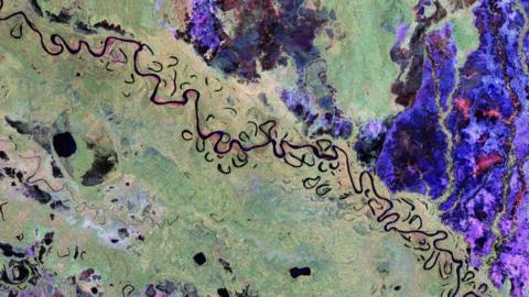 Bolivian forest and landscape from Biomass.