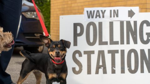 A small dog on a red lead smiles for the camera next to a large, black and white sign reading polling station.