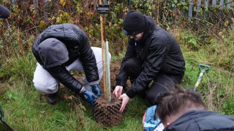 Tow men dressed in black coats and boots gently place one of the sycamore saplings into a hole in the ground. The tree is supported by a thick cane. A crowd of people have gathered to watch.