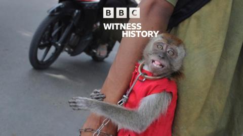 Witness History