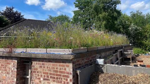 A World War Two bunker with a wildflower meadow growing on the roof.