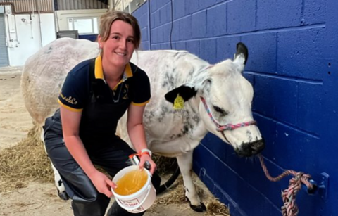 Pip White holding a tub of hair gel. She is leaning next to her heifer Undaunted.