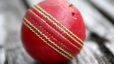 Red cricket ball generic