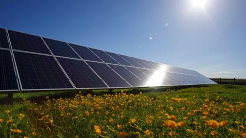 solar panels in a field with sun shining with long grass and yellow flowers in foreground