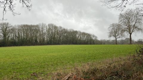 The prospective site where 950 homes will be built in Normandy, near Guildford, Surrey. A large green field and trees can be seen in the image. 