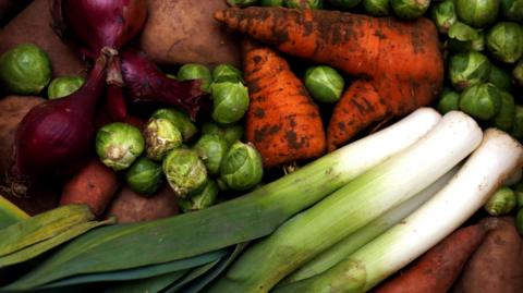 Vegetables are piled up on top of each other including leeks, carrots, sprouts, red onions and potatoes.