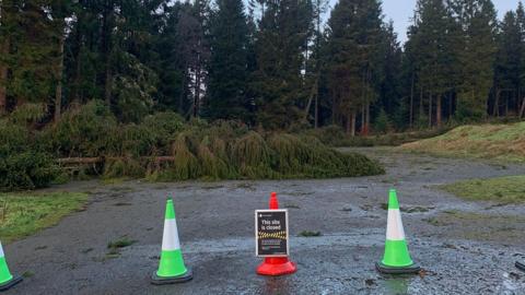 Three cones sit at the entrance to a road with a sign tied to one saying the carpark is closed. A tree lies on its side in the carpark.