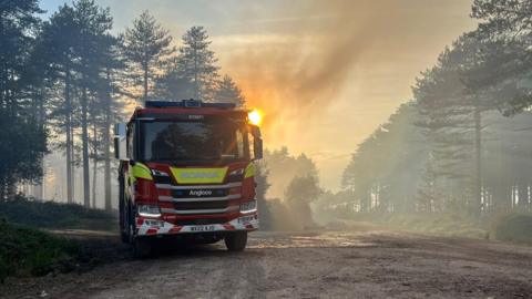 A fire engine is parked on a track through a pine forest at sunrise or sunset. The air is filled with smoke and the orange sun is low and silhouetting the pine trees.
