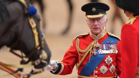 King Charles dressed in fancy clothe with medals, a sash and a cap pointing towards a horse 