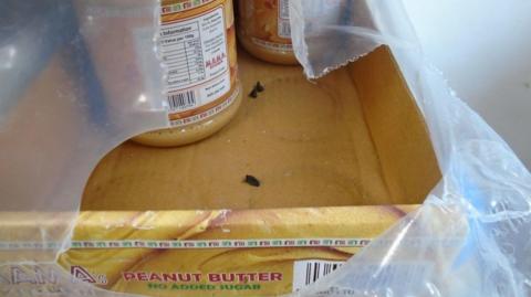 A cardboard crate of peanut butter showing small rat droppings