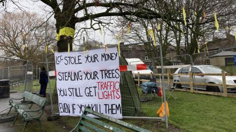 A large banner attached to a metal fence in front of the tree. In capital letters, it reads: "LCC stole your money. Stealing your trees. You still get traffic lights. Even if you kill them."