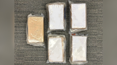 Five bricks of suspected cocaine wrapped in plastic bags are placed on a grey, striped carpet. 