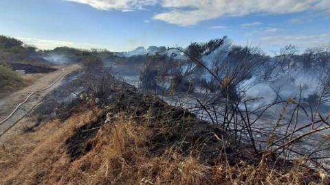 The aftermath of a large wildfire in Guernsey. The ground is scorched and grey smoke is coming from it. The grass is burnt and there are water hoses around the area. 