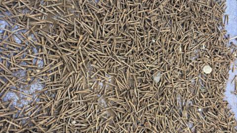 A large collection of old roofing tacks, which are brown from rust, on a piece of tarpaulin with other bits of debris, including a silver penny and bits of mud and dirt