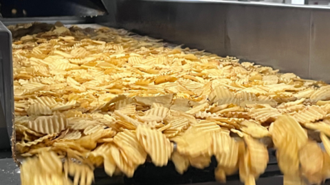 A factory belt full of ridged potato crisps, some of them are spilling off the edge of the machine
