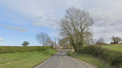 A road surrounded by hedges and fields and a tree