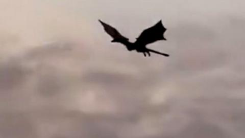 Dragon flies over Glasgow at sunrise
