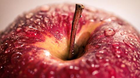 Close-up of a red wet apple.
