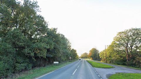 View of the A1035 road near Tickton. It has a two carriageways with trees and hedges along both sides of the road.