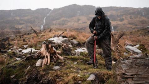 Native tree planting on Grosvenor's Reay Forest Estate