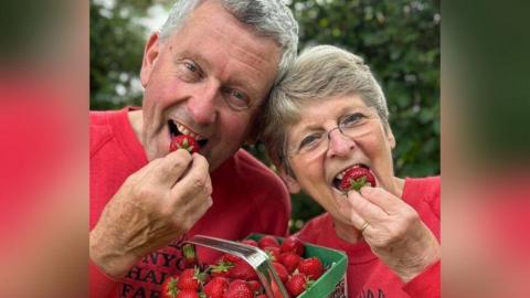 A man and a woman, both with grey hair and wearing red jumpers, hold strawberries up to their mouths while clutching a small green basket full of the fruit. Both are smiling and stood outside, with trees seen behind them. 