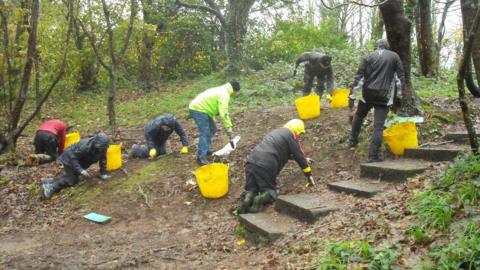 Volunteers removing onion bulbs in Guernsey