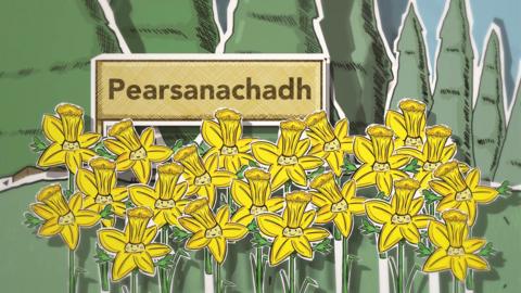 Pearsanachadh