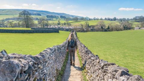 A person walking on a path between two drystone walls in the countryside.