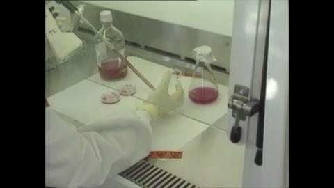 Scientist tests for mad cow disease in a lab