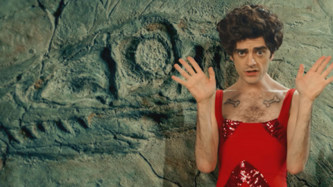 harry styles tribute singer posing next to a fossilized wall