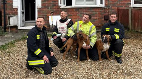 Firefighters and dogs