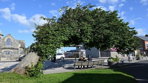 A tree growing almost parallel to the ground. It is beside a road. Three people are sitting on a bench under it. There is a bus stop and businesses in the background.