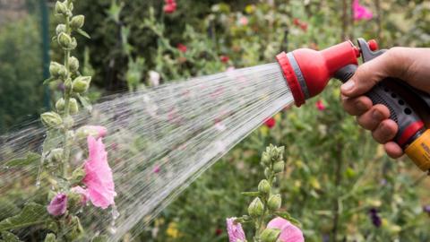A man adjusts uses a hosepipe sprinkler to water his plants in a garden