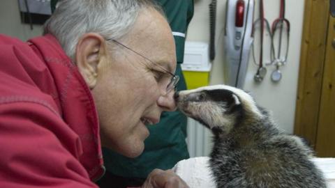 Simon Cowell with a badger