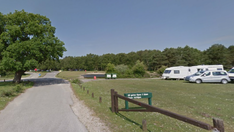 A wide view of Roundhill campsite with an oak tree beside a narrow road and several cars and caravans parked up on an area of grass to the right.