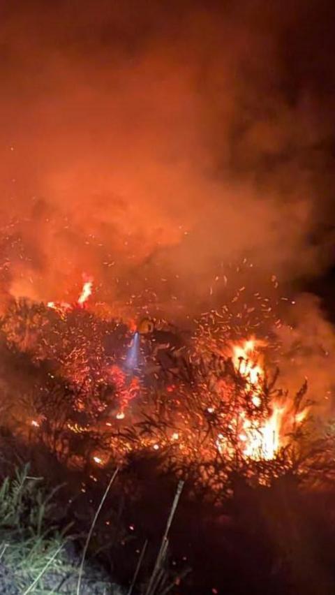 A view of a wildfire at night on Dartmoor. Burning gorse is giving off several sets of flames and smoke.