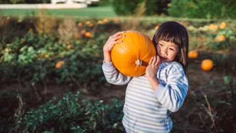 girl holding a pumpkin