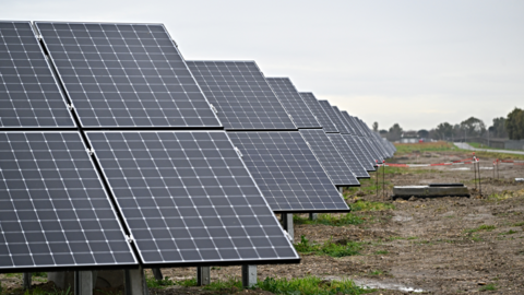 A row of solar panels in a field