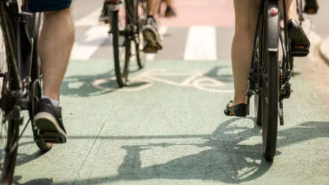 People are riding bikes in a cycle lane. There is green painted tarmac with a white image of a bicycle.
