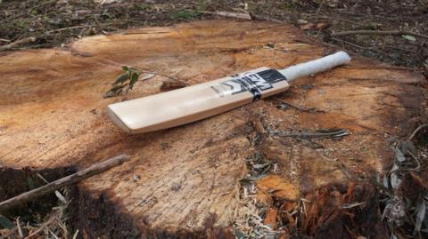 A cricket bat with a white handle and black branding laid out on a tree stump.