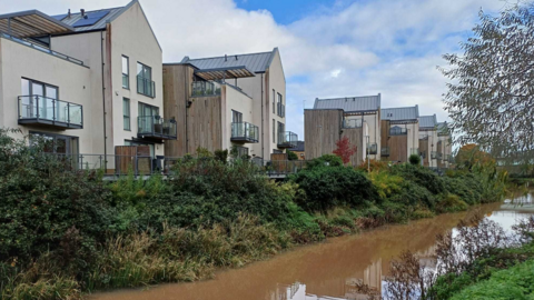 Waterside properties facing a canal overgrown with shrubbery