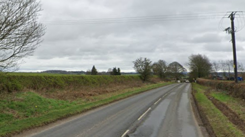 A view of a road with grass verges and hedges on either side. An electricity pole is on the left and trees and cars are in the distance.