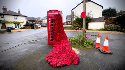 A cascade of knitted poppies trails from a red phone box in Winterborne Kingston. The phone box is on a pavement next to a telegraph pole that has a poppy attached to it. There are also two cones on the pavement and a pink flower growing at its base. Behind you can see a street scene with parked cars and white houses.