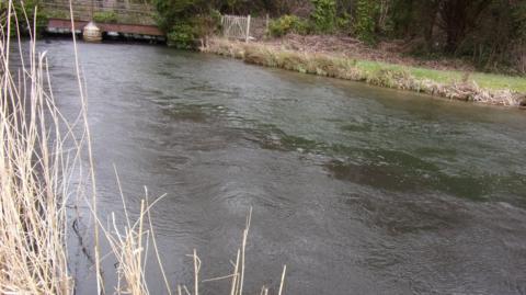 An Environment Agency picture of the River Test flowing through countryside, with the near side appearing brown and polluted