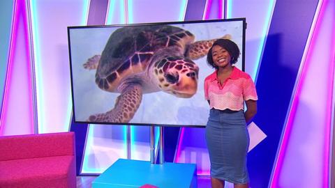 Emma-Louise on the Newsround set